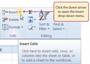 1.2 Entering, Editing, and Managing Data – Beginning Excel