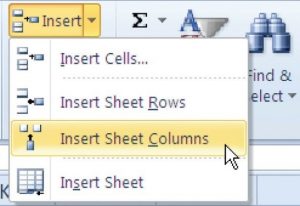 Insert button drop-down menu for inserting cells, rows, columns or sheets.