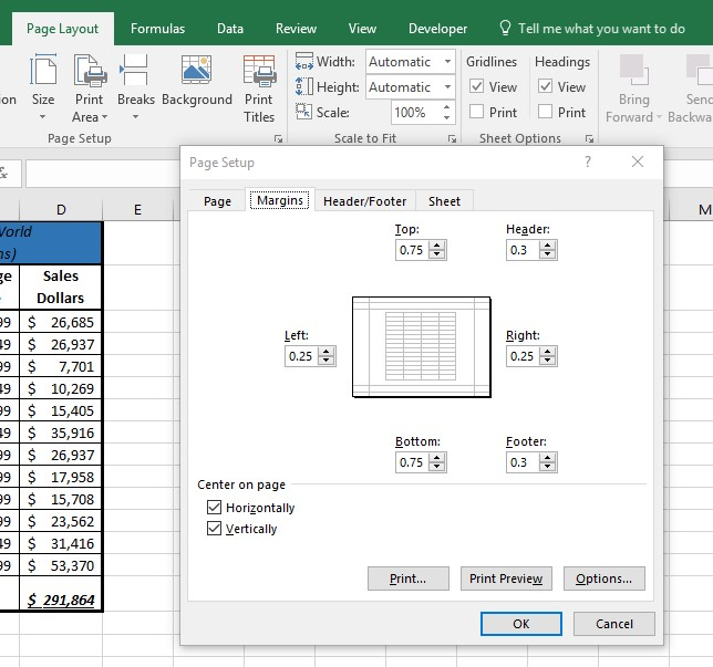 Page Layout Commands dialog box. Tabs for Page, Margins, Header/Footer, and Sheet with Margins tab open and Print, Print Preview, Options, and OK/Cancel at bottom of dialog box.