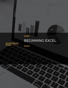 Beginning Excel book cover