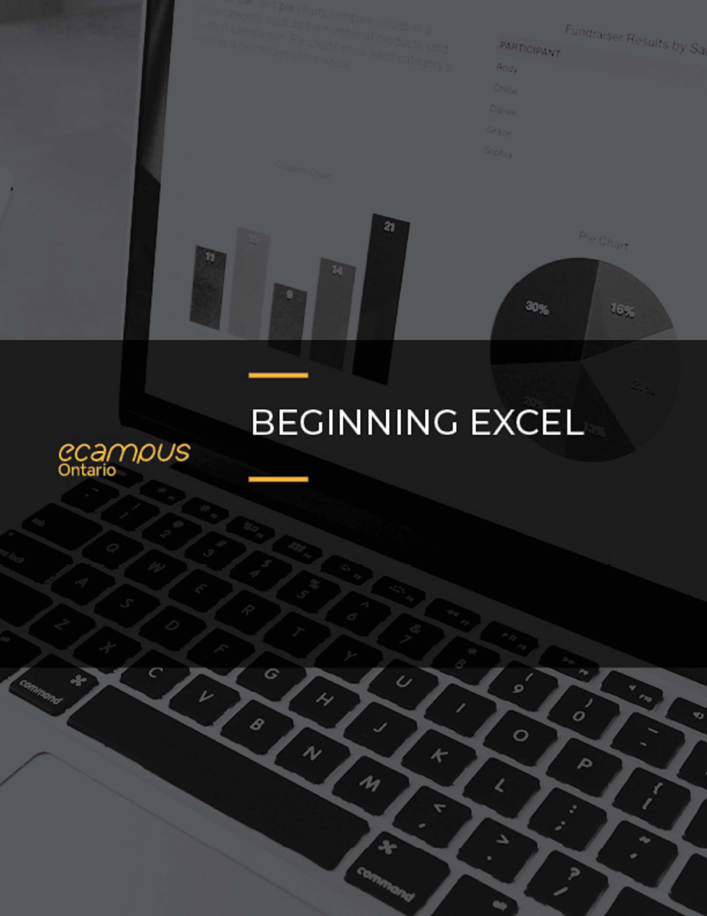 Cover image for Beginning Excel