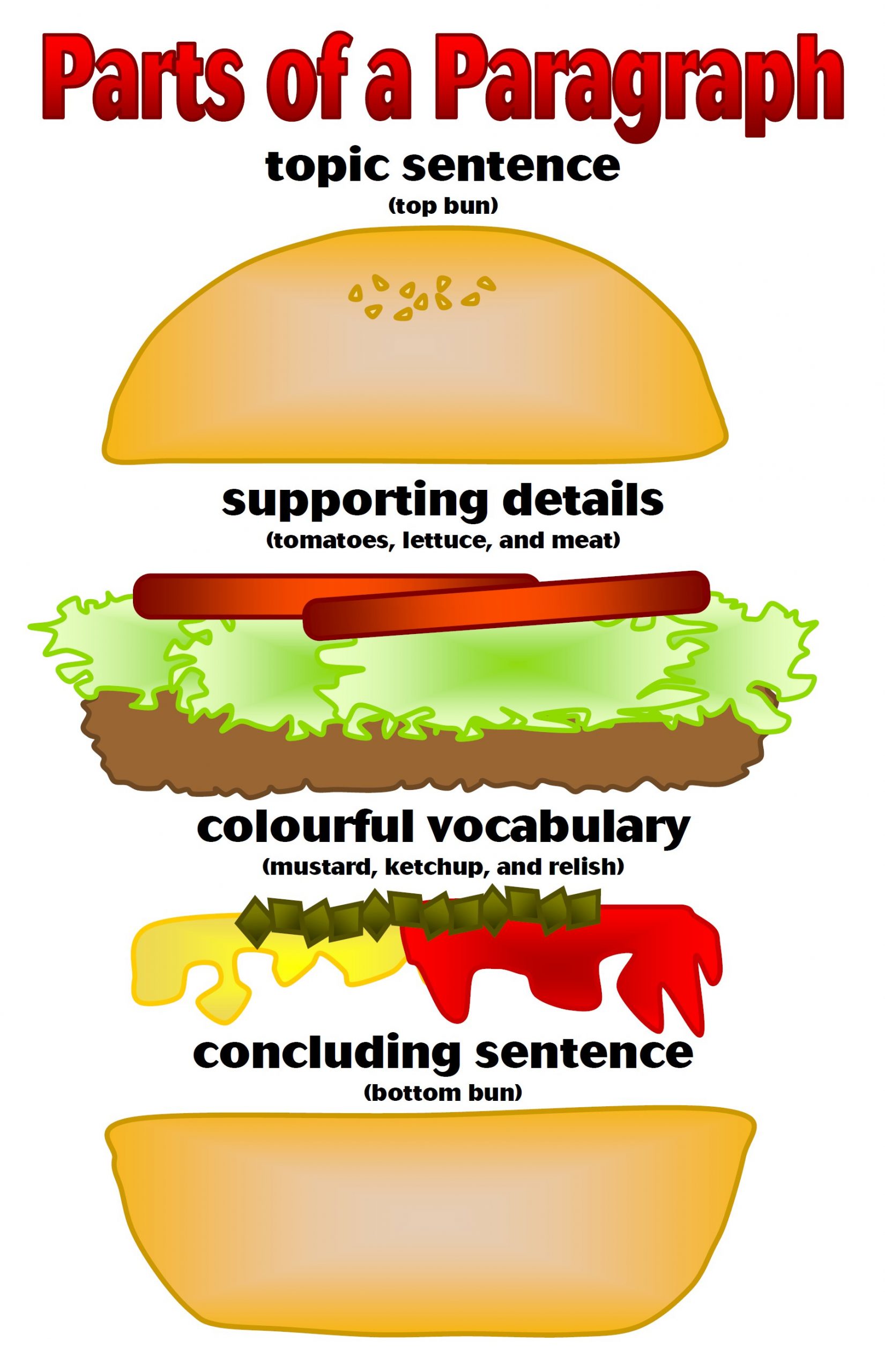 parts of a paragraph imagined as a burger: topic sentence is the top bun, supporting details are the burger toppings (lettuce, tomato, meat), colourful vocabulary are the condiments (mustard, ketchup, relish), and concluding sentence is the bottom bun