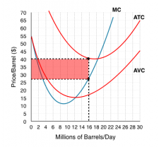 Solution: Case Study – Oil Markets – Principles of Microeconomics