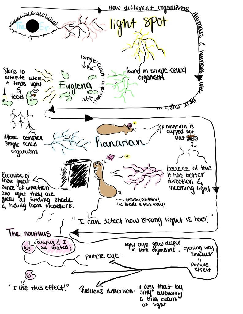 concept map connecting vision concepts