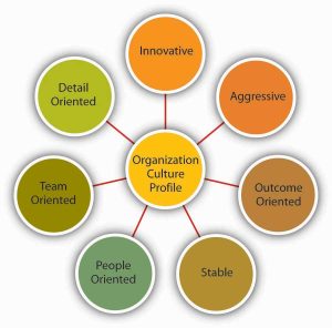 Dimensions of Organizational Culture Profile include: innovative, detail oriented, aggressive, outcome oriented, stable, people oriented and team oriented