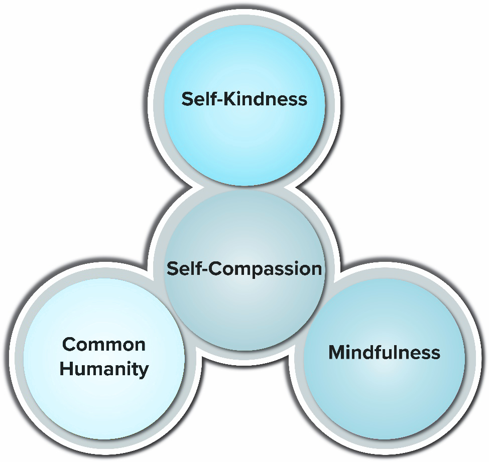 Self compassion in the center with self kindness connected at the top, common humanity on the left, and mindfulness on the right.