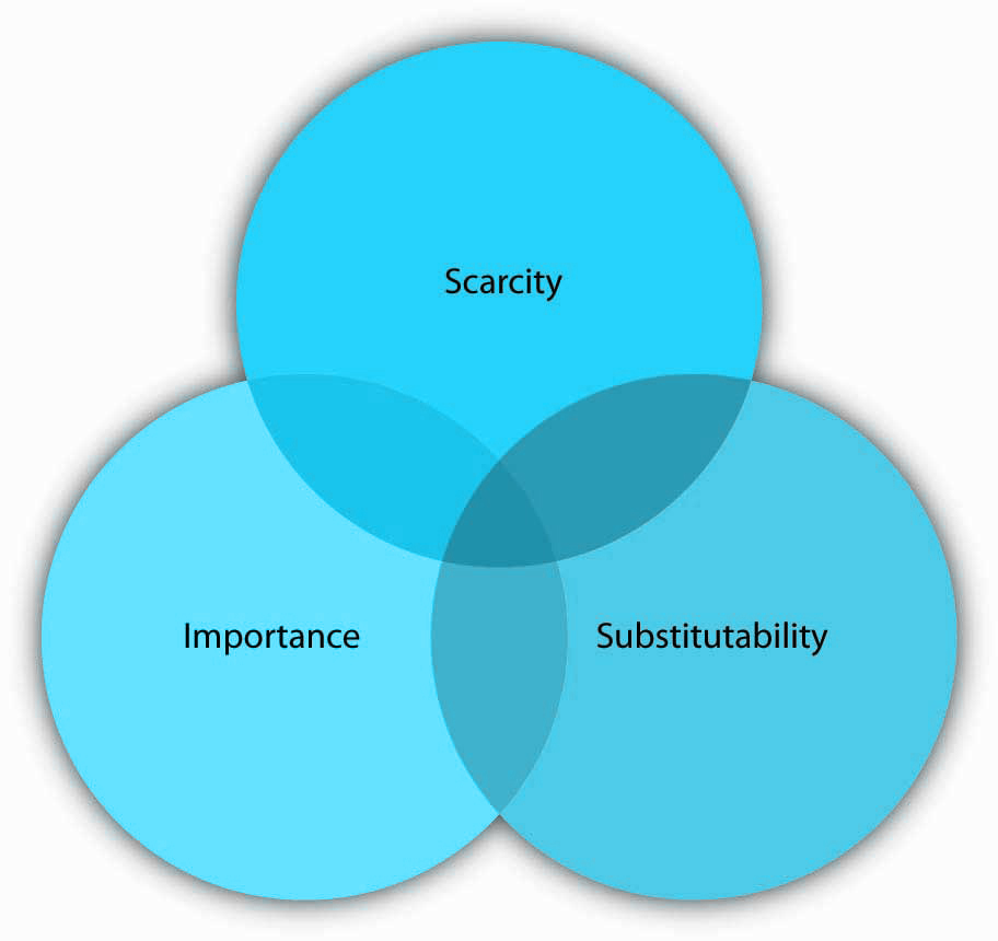 Scarcity, Importance, and Substitutability