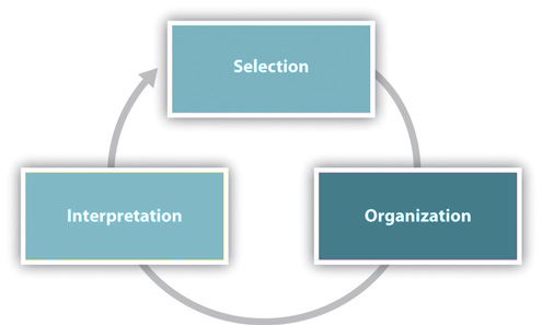 Diagram of the perception process: selection, organizations, and perception