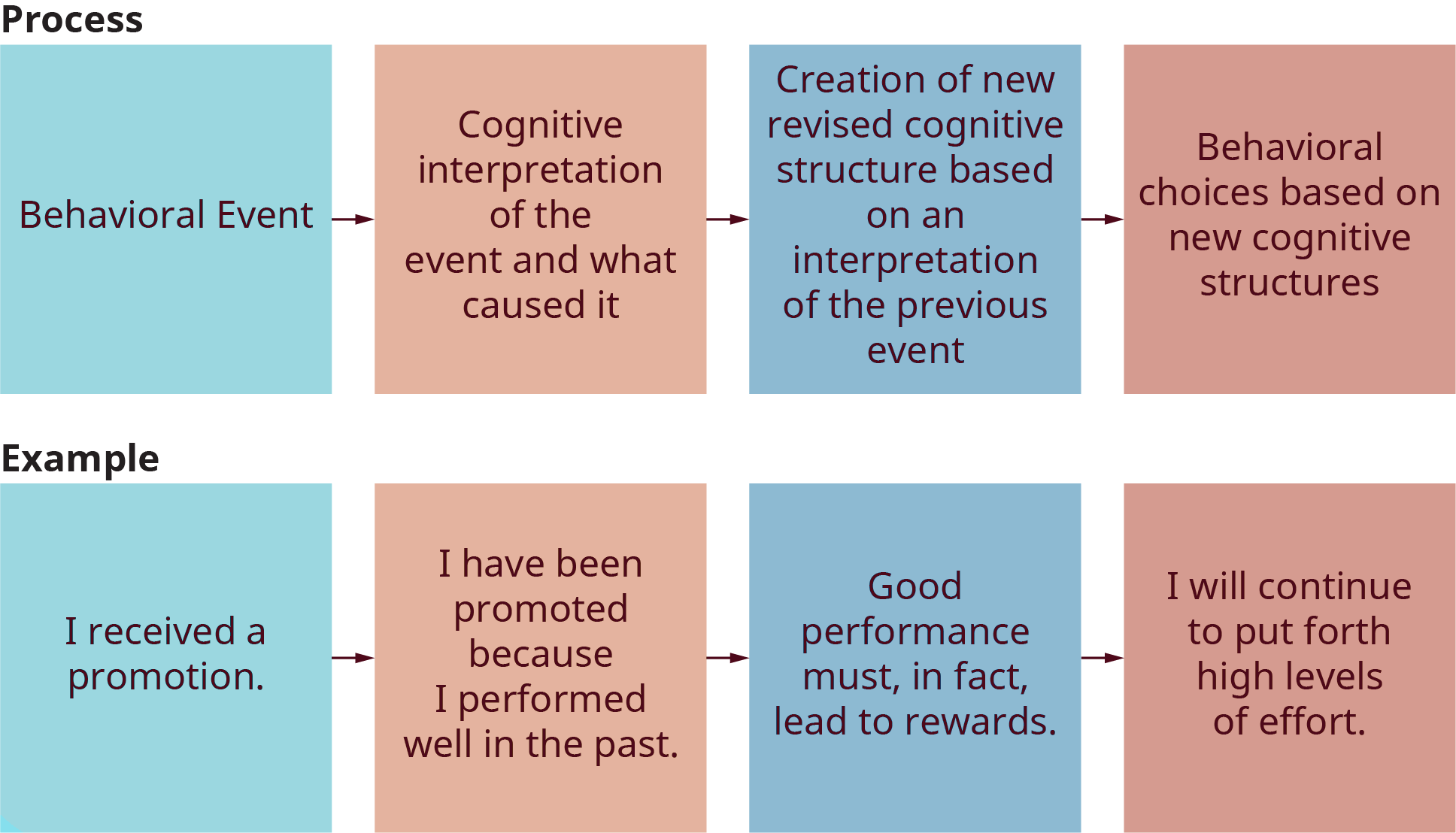 attribution psychology