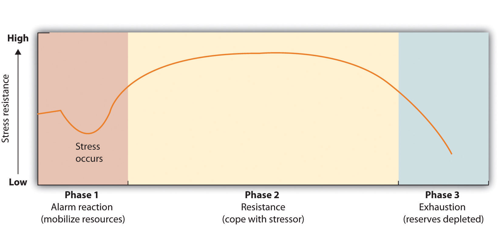Graph: General Adaptation Syndrome 3 Stages