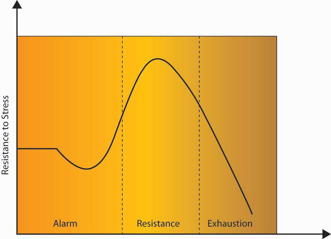 Resistance to stress has three stages: alarm, resistance, and exhaustion