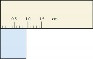 A ruler with a mark showing 0.9 cm.