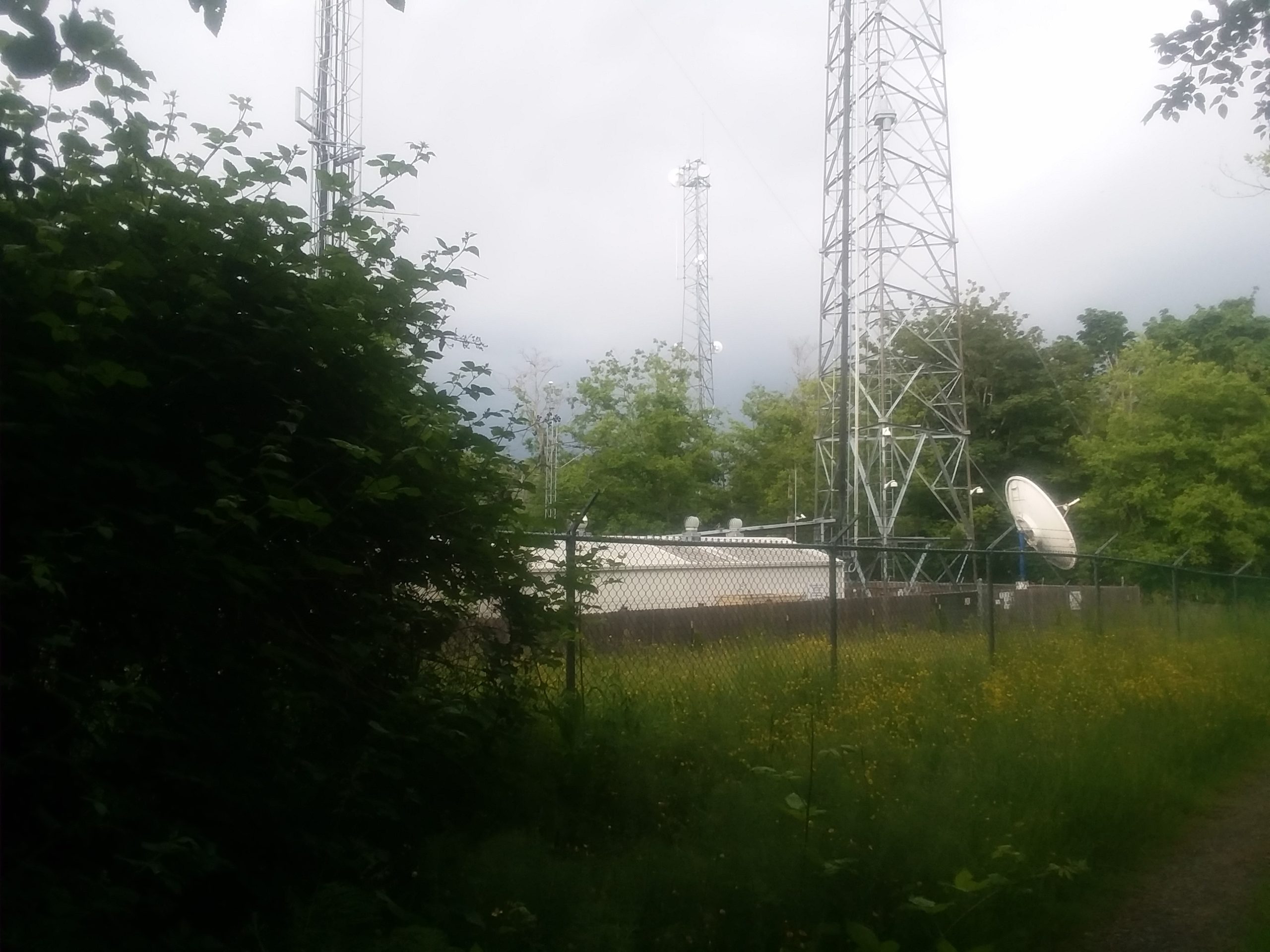 Shows telecommunications equipment and hut in an overgrown meadow.