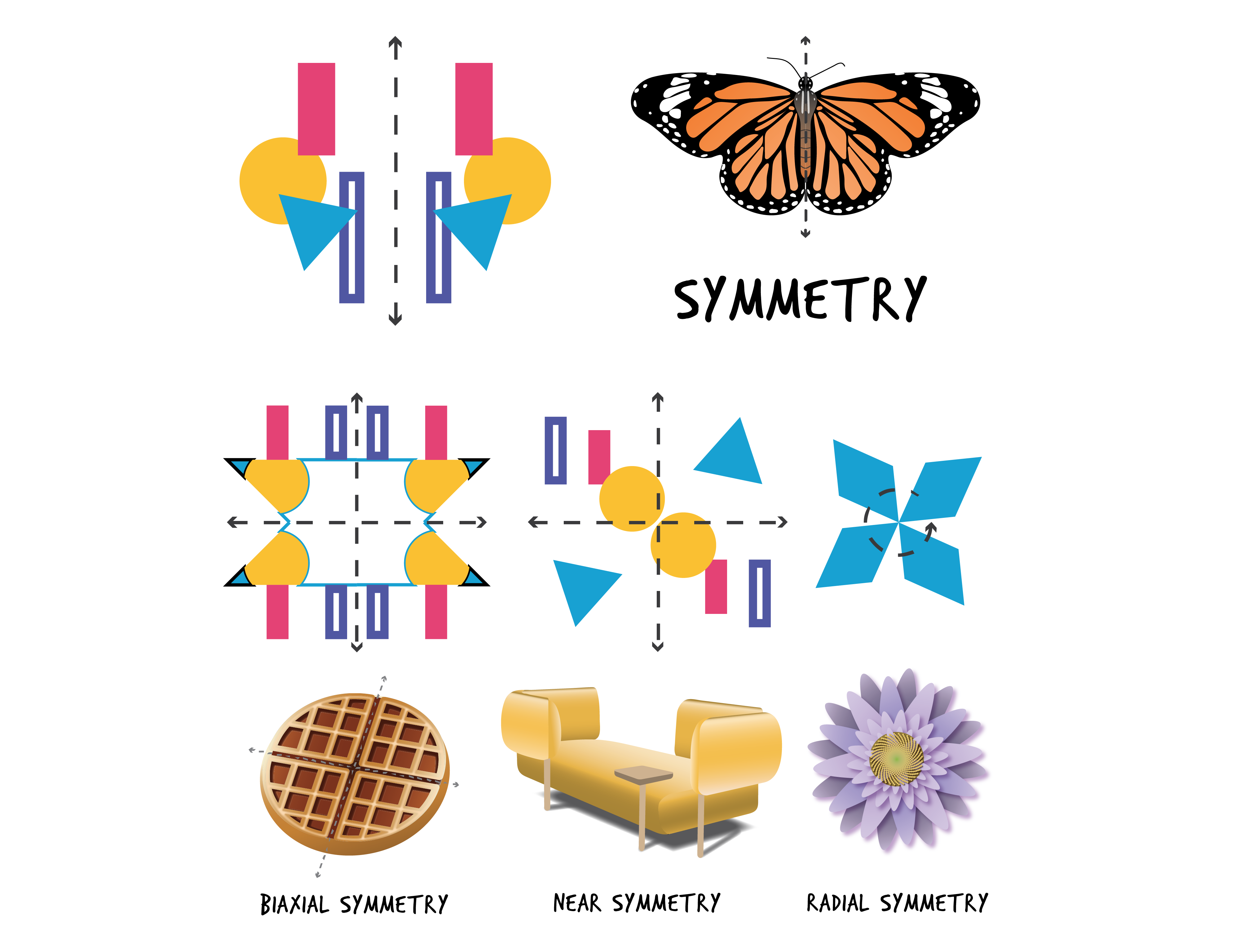 On the top row, two images illustrate symmetry: a geometric image with mirrored sides, and a butterfly. On the second row, there are 3 columns that illustrate 3 different types of symmetry. In the first column on the left, two images illustrate biaxial symmetry: 1 geometric design with 4 similar quadrants and a waflle with 4 similar quadrants. In the second column, two images illustrate near symmetry: a geometric image with diagonally similar quadrants and a sofa with diagonally similar quadrants. In the fourth column, two images illustrate radial symmetry: a geometric image with 4 radiating shapes and a flower with petals radiating around a central point.