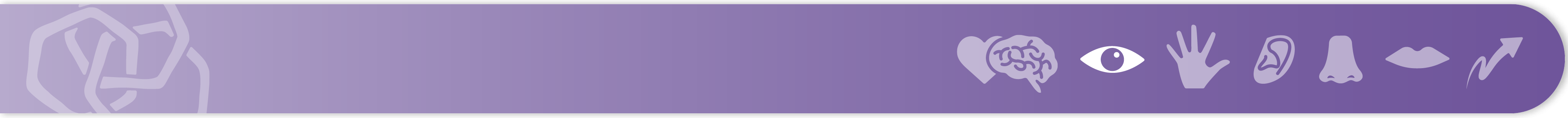 Section banner indicating the start of a new section. On the right, 7 icons depict the senses: a heart and brain, an eye, a hand, an ear, a nost, a mouth, and an arrow (movement). Chapter 2 banner is purple with the eye icon highlighted.