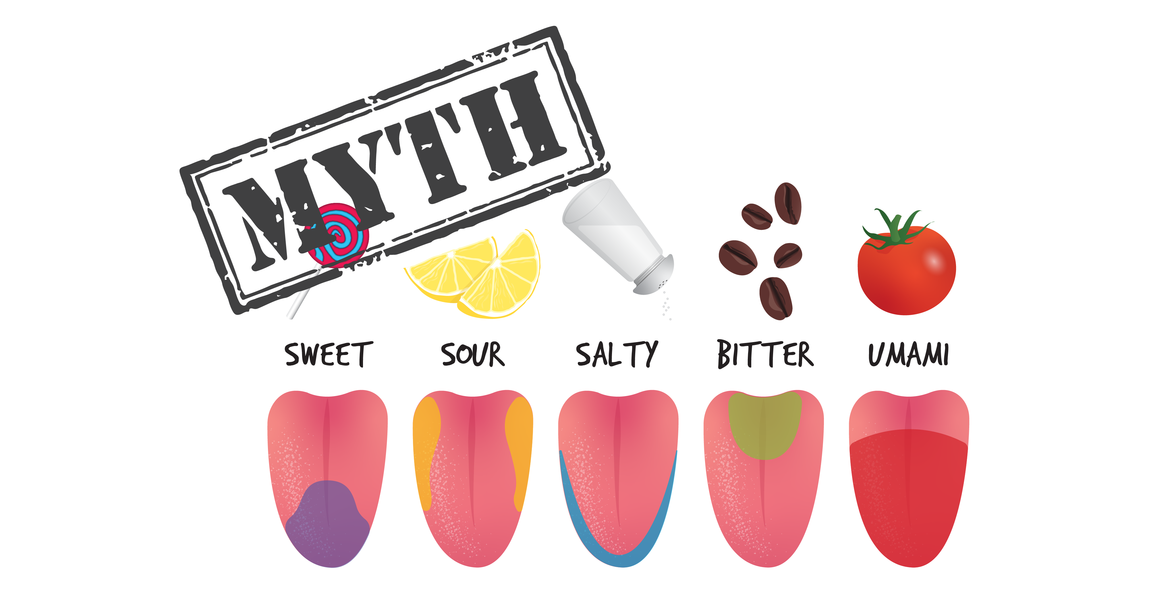 A series of 5 tongues, each with a type of taste. 1. Sweet. The bottom section of the tongue is highlighted with a lollipop icon. 2. Sour. The two sides of the tongue are highlighted with a lemon slice icon. 3. Salty. The front outline of the tongue is highlighted with a saltshaker icon. 4. Bitter. The center top of the tongue is highlighted with coffee bean icons. 5. Umami. Most of the bottom of the tongue is highlighted with a tomato icon. Large text on top left: MYTH.