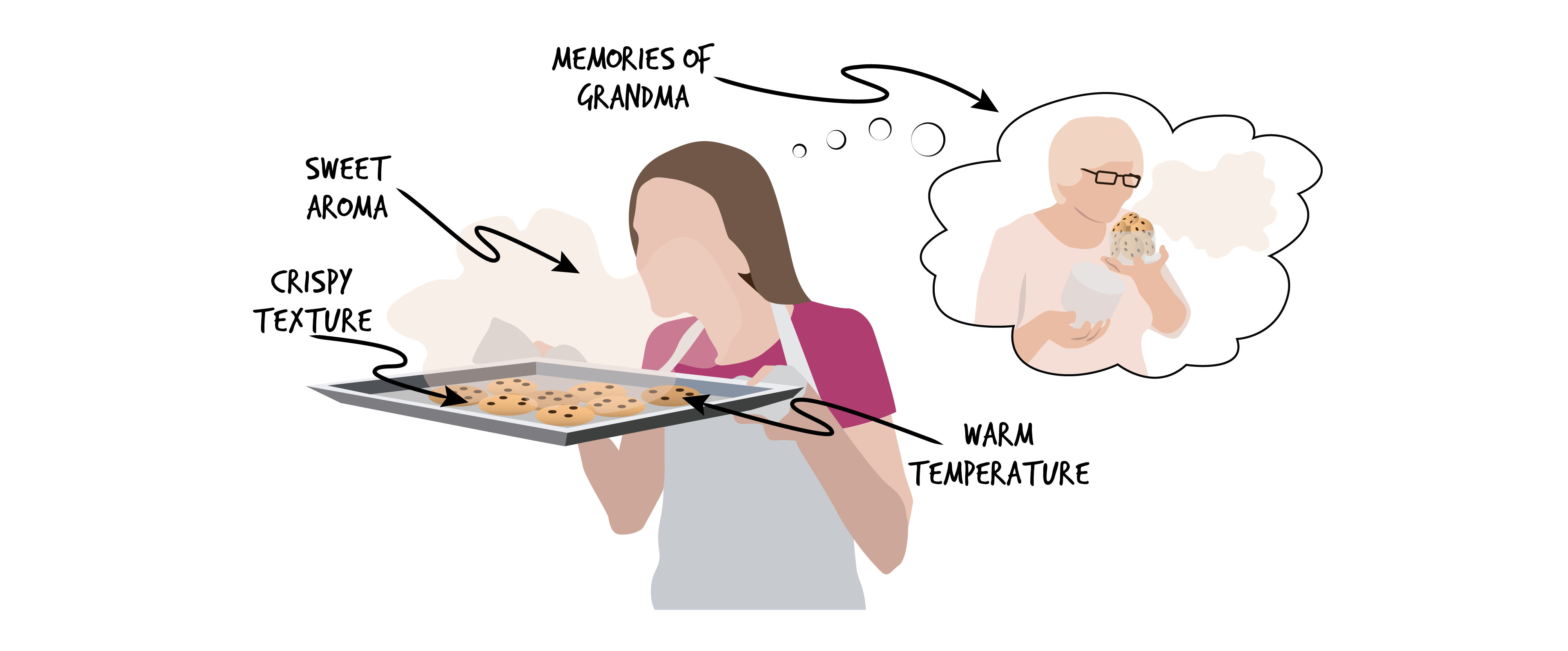 Person in pink shirt and white apron holding a baking sheet with chocolate chip cookies on it. Beige cloud coming from cookies. Text Crispy texture with arrow pointing to cookies. Text Sweet aroma with arrow pointing to beige cloud. Text Memories of grandma with arrow pointing to thought bubble with a grandma eating cookies in it. Text Warm temperature with arrow pointing to baking sheet.