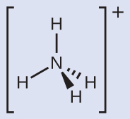 A Lewis structure depicts a nitrogen atom that is single bonded to four hydrogen atoms. The structure is surrounded by brackets and has a superscripted positive sign. This figure uses dashes and wedges to displays its three planes in a tetrahedral shape.