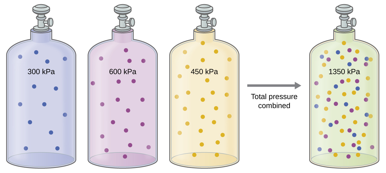 Four gas-filled cylinders of equal volume with valves on the top are pictured. The interior of the first cylinder is shaded blue. This region contains 13 small blue circles that are evenly distributed and is labeled 300 k P a”. Next to the right, a second cylinder, labeled “600 k P a”, is shaded lavender and contains 19 small purple circles that are evenly distributed but are more closely packed than the previous. To the right of these cylinders is a third cylinder with an interior shaded pale yellow and is labeled “450 k P a”. This region contains 27 small, evenly distributed yellow circles that are the most closely packed of the three. An arrow labeled “Total pressure combined” appears to the right of these three cylinders and points to a fourth cylinder labeled “1350 k P a”. The interior of this cylinder is shaded a pale green and evenly distributed small circles in the following quantities and colors: 13 blue, 19 purple, and 27 yellow.