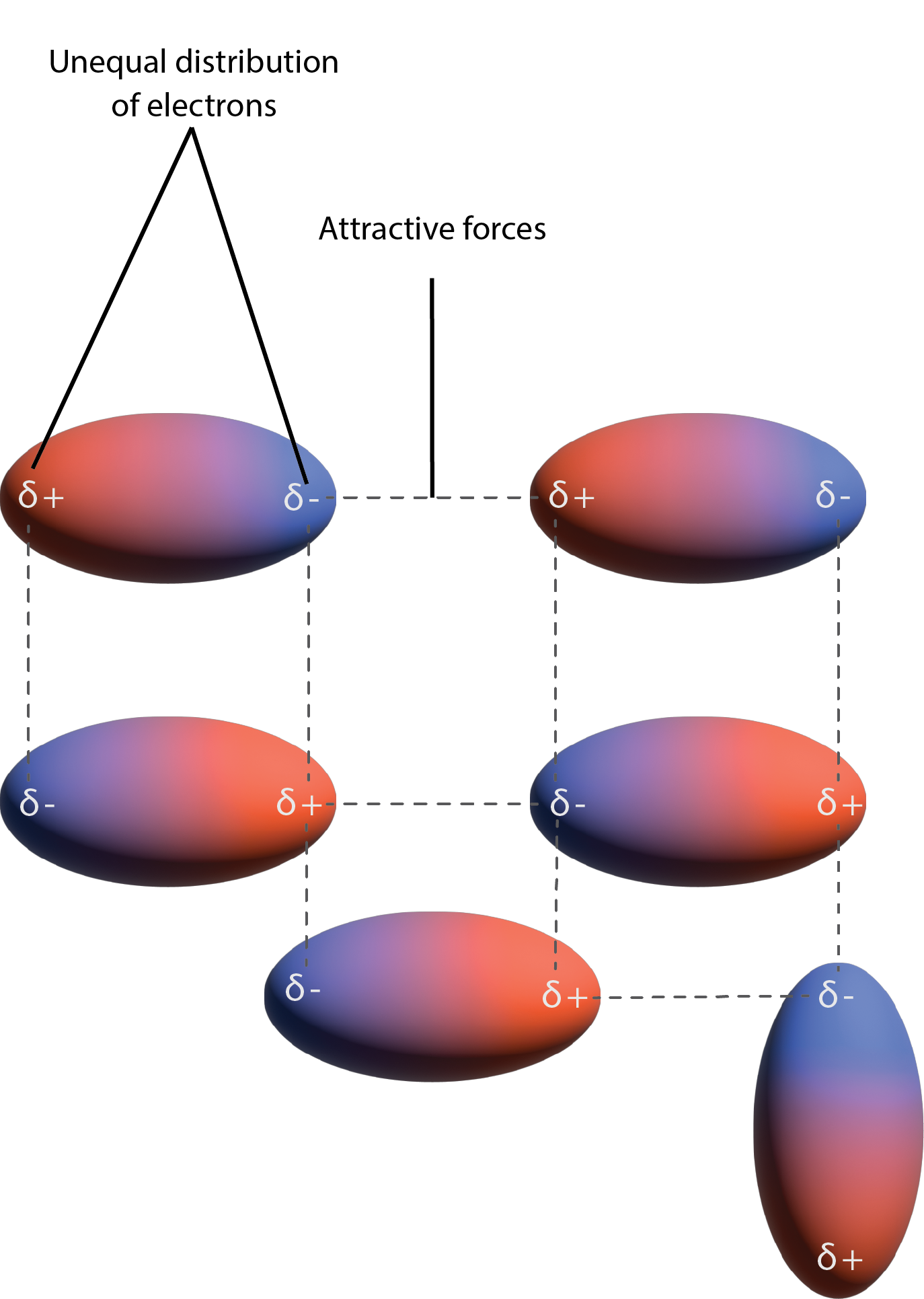 The figure illustrates attraction between dipoles where the positive poles are attracted to the negative ends of the other molecule.