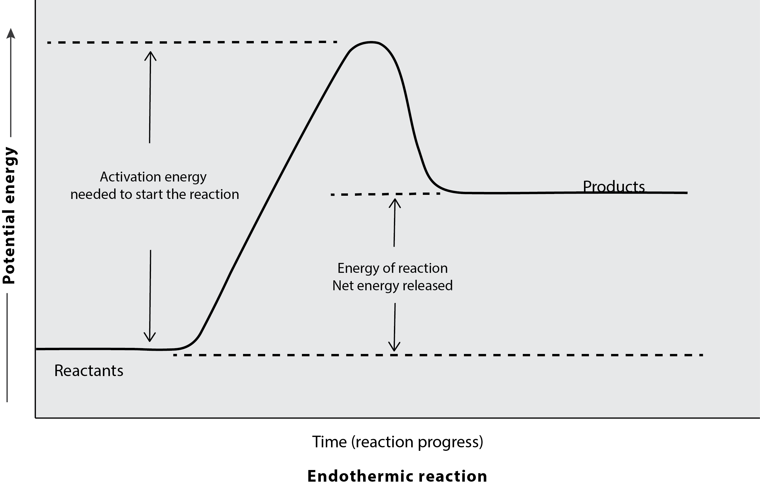 As an endothermic reaction progresses over time the reactants have less potential energy than the resulting products indicating that energy was required for the reaction to occur.