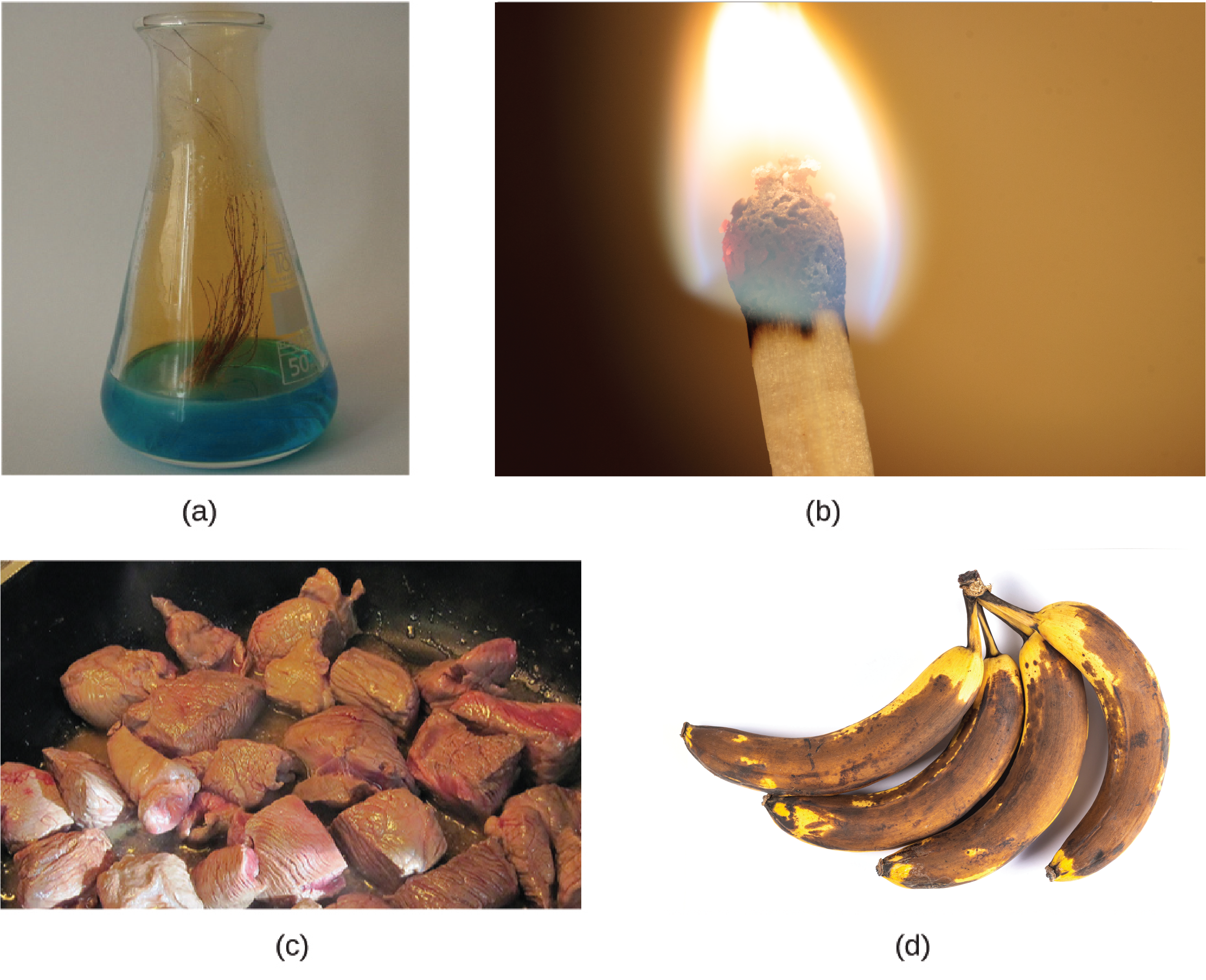 Figure A is a photo of the flask containing a blue liquid. Several strands of brownish copper are immersed into the blue liquid. There is a brownish gas rising from the liquid and filling the upper part of the flask. Figure B shows a burning match. Figure C shows red meat being cooked in a pan. Figure D shows a small bunch of yellow bananas that have many black spots.