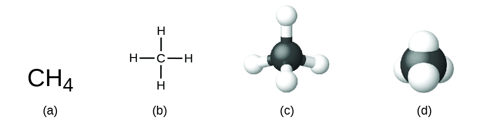 Figure A shows C H subscript 4. Figure B shows a carbon atom that is bonded to four hydrogen atoms at right angles: one above, one to the left, one to the right, and one below. Figure C shows a 3-D, ball-and-stick model of the carbon atom bonded to four hydrogen atoms. Figure D shows a space-filling model of a carbon atom with hydrogen atoms partially embedded into the surface of the carbon atom.