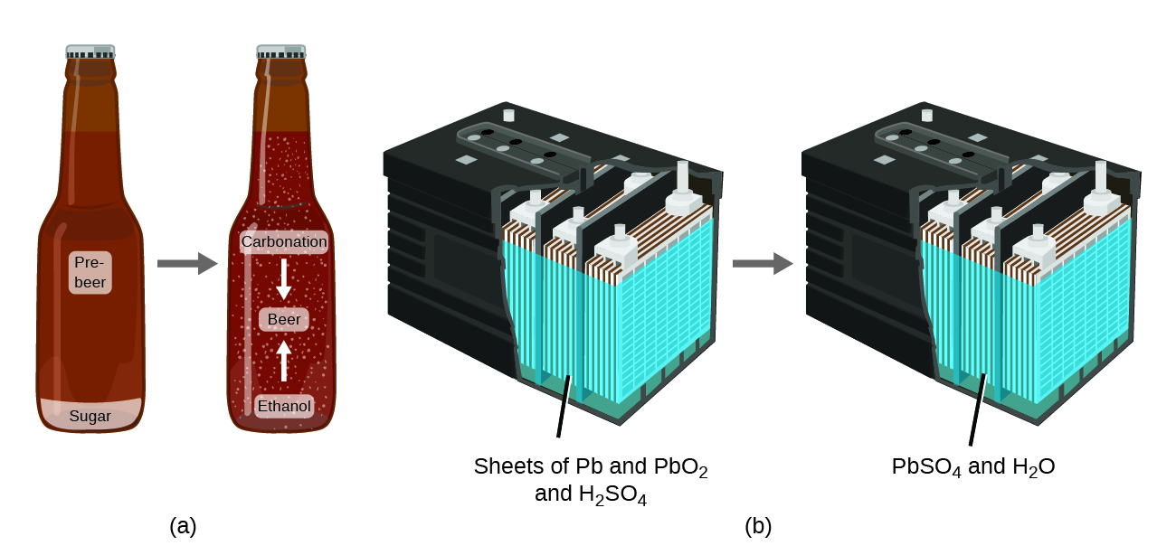 A beer bottle containing pre-beer and sugar has an arrow that points to a second bottle that has the same volume but has formed beer is pictured. A second image of a car battery that contains sheets of P b and P b O subscript 2 and H subscript 2 S O subscript 4 has a gray arrow that points to another image of a battery after it has been used, which now contains P b S O subscript 4 and H subscript 2 O.