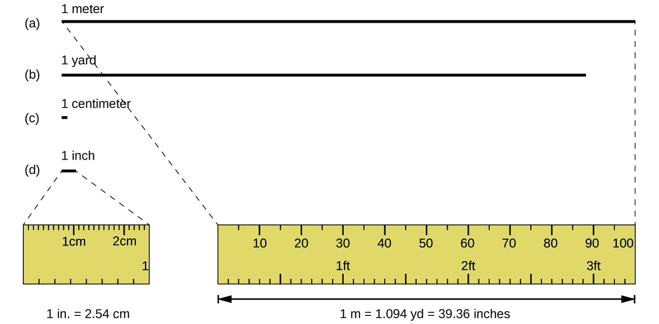 A ruler measuring feet and centimeters is compared with various lengths of black lines representing lengths of 1 inch, centimeter, meter, and yard.