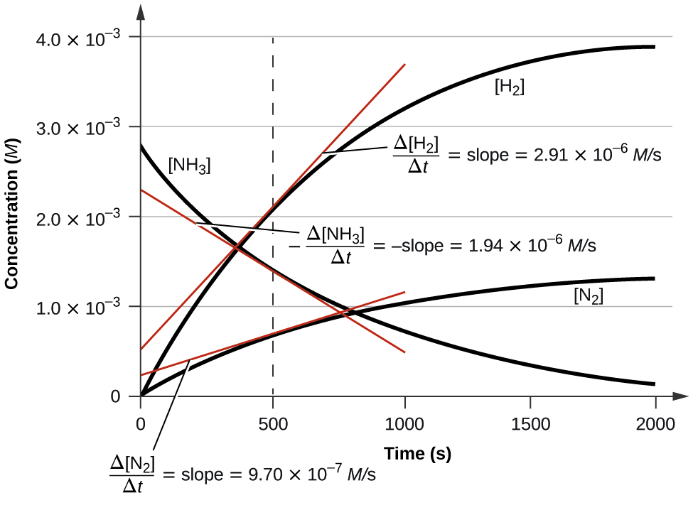 A graph is shown with the label, “Time ( s ),” appearing on the x-axis and, “Concentration ( M ),” on the y-axis. The x-axis markings begin at 0 and end at 2000. The markings are labeled at intervals of 500. The y-axis begins at 0 and includes markings every 1.0 times 10 superscript negative 3, up to 4.0 times 10 superscript negative 3. A decreasing, concave up, non-linear curve is shown, which begins at about 2.8 times 10 superscript negative 3 on the y-axis and nearly reaches a value of 0 at the far right of the graph at the 2000 marking on the x-axis. This curve is labeled, “[ N H subscript 3].” Two additional curves that are increasing and concave down are shown, both beginning at the origin. The lower of these two curves is labeled, “[ N subscript 2 ].” It reaches a value of approximately 1.25 times 10 superscript negative 3 at 2000 seconds. The final curve is labeled, “[ H subscript 2 ].” It reaches a value of about 3.9 times 10 superscript negative 3 at 2000 seconds. A red tangent line segment is drawn to each of the curves on the graph at 500 seconds. At 500 seconds on the x-axis, a vertical dashed line is shown. Next to the [ N H subscript 3] graph appears the equation “negative capital delta [ N H subscript 3 ] over capital delta t = negative slope = 1.94 times 10 superscript negative 6 M / s.” Next to the [ N subscript 2] graph appears the equation “negative capital delta [ N subscript 2 ] over capital delta t = negative slope = 9.70 times 10 superscript negative 7 M / s.” Next to the [ H subscript 2 ] graph appears the equation “negative capital delta [ H subscript 2 ] over capital delta t = negative slope = 2.91 times 10 superscript negative 6 M / s.”