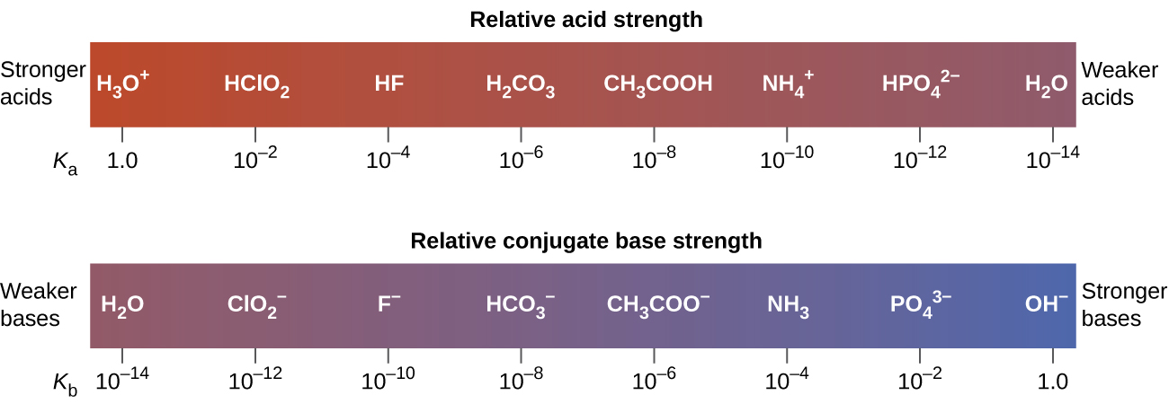 The diagram shows two horizontal bars. The first, labeled, “Relative acid strength,” at the top is red on the left and gradually changes to purple on the right. The red end at the left is labeled, “Stronger acids.” The purple end at the right is labeled, “Weaker acids.” Just outside the bar to the lower left is the label, “K subscript a.” The bar is marked off in increments with a specific acid listed above each increment. The first mark is at 1.0 with H subscript 3 O superscript positive sign. The second is ten raised to the negative two with H C l O subscript 2. The third is ten raised to the negative 4 with H F. The fourth is ten raised to the negative 6 with H subscript 2 C O subscript 3. The fifth is ten raised to a negative 8 with C H subscript 3 C O O H. The sixth is ten raised to the negative ten with N H subscript 4 superscript positive sign. The seventh is ten raised to a negative 12 with H P O subscript 4 superscript 2 negative sign. The eighth is ten raised to the negative 14 with H subscript 2 O. Similarly the second bar, which is labeled “Relative conjugate base strength,” is purple at the left end and gradually becomes blue at the right end. Outside the bar to the left is the label, “Weaker bases.” Outside the bar to the right is the label, “Stronger bases.” Below and to the left of the bar is the label, “K subscript b.” The bar is similarly marked at increments with bases listed above each increment. The first is at ten raised to the negative 14 with H subscript 2 O above it. The second is ten raised to the negative 12 C l O subscript 2 superscript negative sign. The third is ten raised to the negative ten with F superscript negative sign. The fourth is ten raised to a negative eight with H C O subscript 3 superscript negative sign. The fifth is ten raised to the negative 6 with C H subscript 3 C O O superscript negative sign. The sixth is ten raised to the negative 4 with N H subscript 3. The seventh is ten raised to the negative 2 with P O subscript 4 superscript three negative sign. The eighth is 1.0 with O H superscript negative sign.