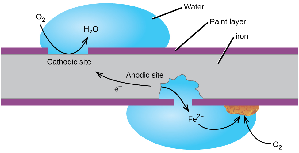 A grey rectangle, labeled “iron,” is shown with thin purple layers, labeled “Paint layer,” at its upper and lower surfaces. A gap in the upper purple layer at the upper left of the diagram is labeled “Cathodic site.” A blue droplet labeled “water” is positioned on top of the gap. A curved arrow extends from a space above the droplet to the surface of the grey region and into the water droplet. The base of the arrow is labeled “O subscript 2” and the tip of the arrow is labeled “H subscript 2 O.” A gap to the right and on the bottom side of the grey region shows that some of the grey region is gone from the region beneath the purple layer. A water droplet covers this gap and extends into the open space in the grey rectangle. The label “F e superscript 2 positive” is at the center of the droplet. A curved arrow points from the edge of the grey area below to the label. A second curved arrow extends from the F e superscript 2 positive arrow to a rust brown chunk on the lower surface of the purple layer at the edge of the water droplet. A curved arrow extends from O subscript 2 outside the droplet into the droplet to the rust brown chunk. The grey region at the lower right portion of the diagram is labeled “Anodic site.” An arrow extends from the anodic site toward the cathodic site, which is labeled “e superscript negative.”
