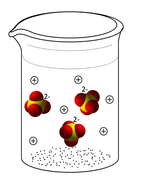 Sodium sulfate is an ionic solid. When it is placed into a polar solvent such as water, the individual sodium ions (depicted as positive symbols) and the individual sulfate ions (depicted as negative-2 symbols) are pulled apart by the dipole moments of the water molecules and thus float around separately in solution.