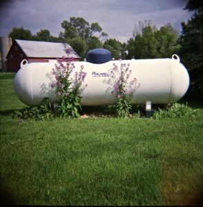 Purple flowers grow tall beside a propane tank standing on grass.