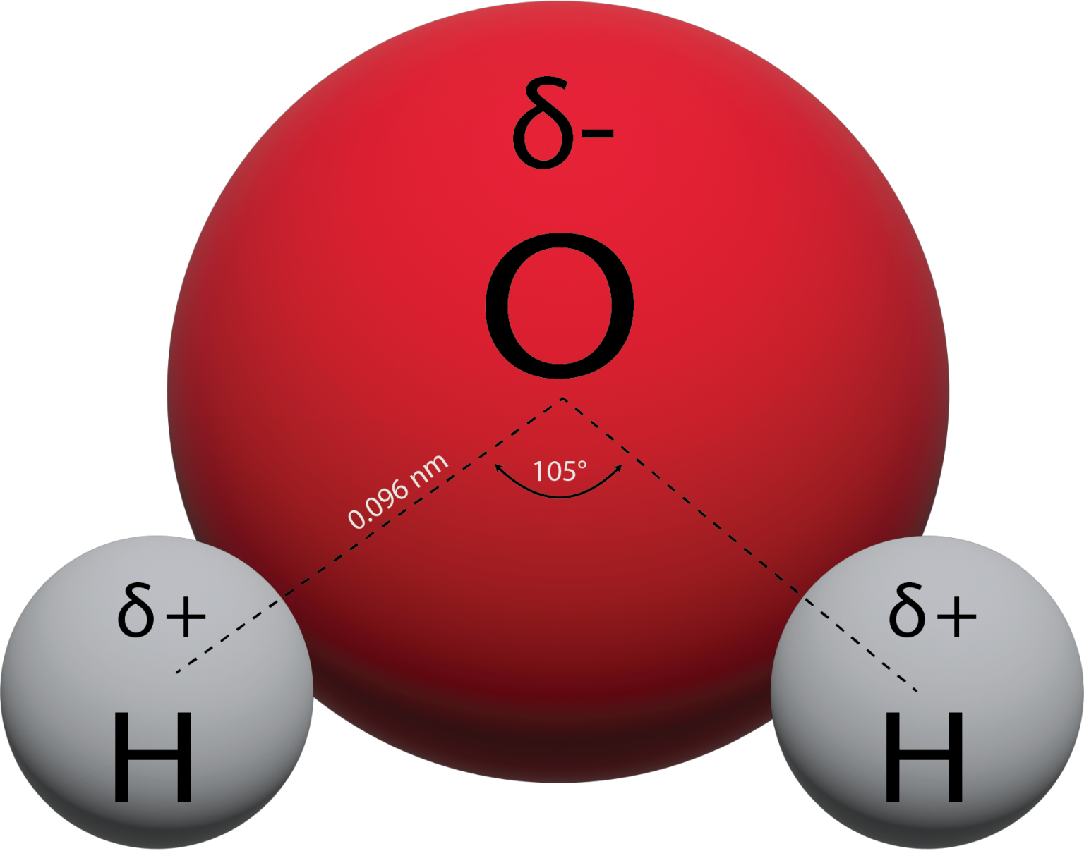 13.5 Water: A Special Liquid – Enhanced Introductory College Chemistry