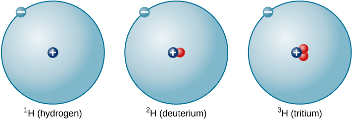 Three isotopes of hydrogen are pictured. Each isotope picture shows a circle of the same size containing one dot that has “-“ sign on the perimeter, which represents one electron. The first isotope schematic from the left is named hydrogen and has a mass number one. It is shown with only a single proton, “+”, in the center of the circle. The second isotope of hydrogen has a mass number two and is labelled deuterium. It has one proton, “+”, and one neutron in the center of its circle. The third isotope of hydrogen has a mass number three and is labelled tritium. It has one proton, “+”, and two neutrons in the center.