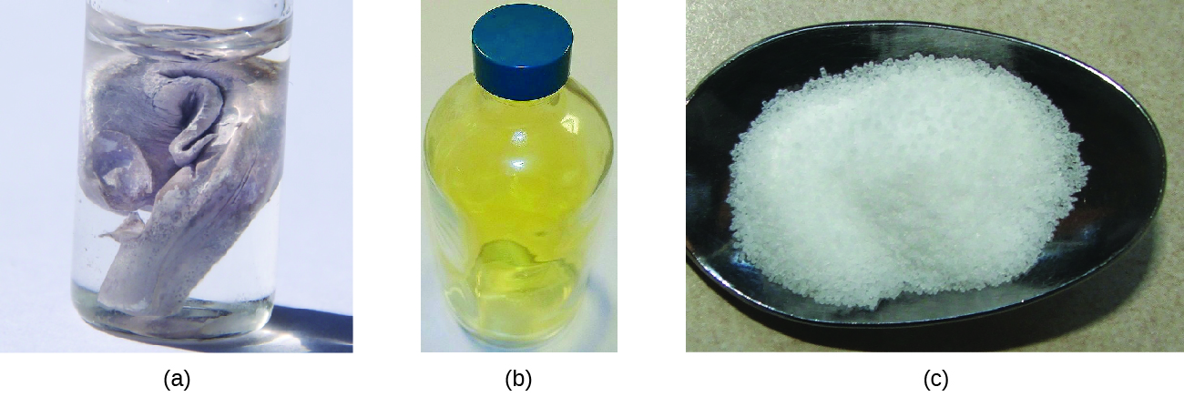 A glass jar with a lid that is full of a clear, colorless liquid in which a silver solid is suspended, a second glass bottle with a blue lid that is full of a yellow-green gas, and a black dish full of a white, crystalline solid are pictured.