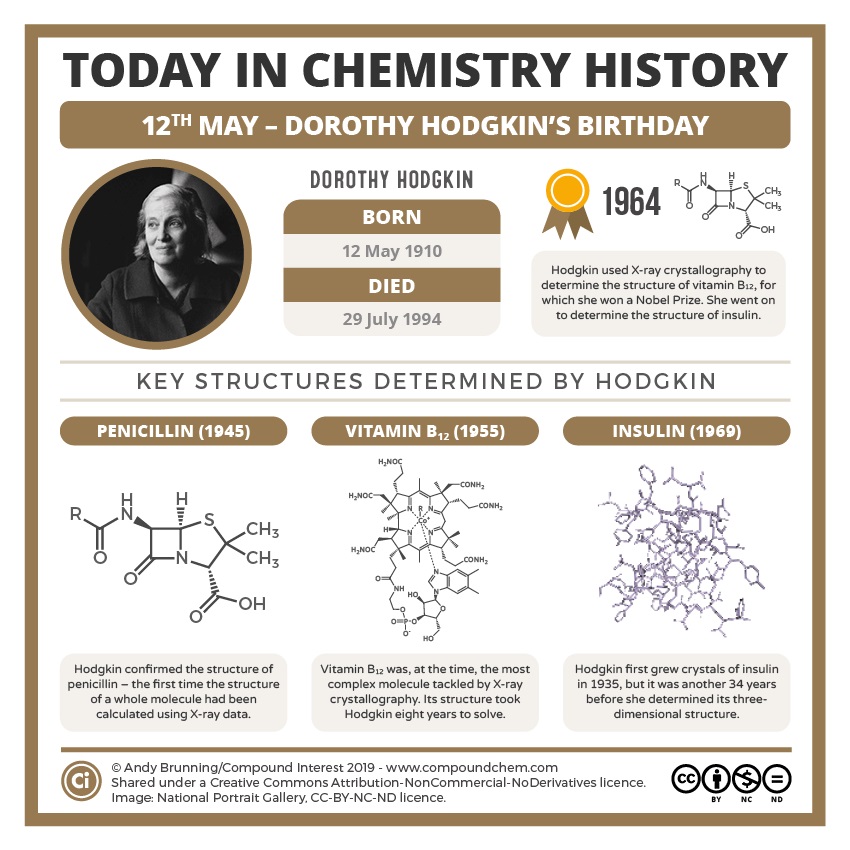 Dorothy Hodgkin was born on May 12, 1910; died July 29, 1994. She’s most famous for being one of only four women to have won a Nobel Prize in Chemistry, and the only British woman to have done so. This graphic takes a look at the work that earned her the prize. She successfully determined the structure of penicillin in 1946, and in 1956 the structure of vitamin B12. In 1969, she determined insulin’s three-dimensional structure.