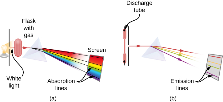 Schematics of an experimental setup to observe absorption lines and emission lines are pictured. The experiment on the left, labelled ( a ), shows white light from a light bulb passing through a flask filled with gas, which then passes through a prism, which gets separated into individual wavelengths and the line spectrum is captured on a screen. In the spectrum of the passed light, some wavelengths are missing, which are seen as black absorption lines in the continuous spectrum on the viewing screen. These vertical black lines are labelled absorption lines The experiment on the right, labelled ( b ), a discharge tube filled with gas emits light, passes through a prism, and it is separated into wavelengths and pictured on a screen. In the spectrum of the passed light, only specific wavelengths are present, which are seen as purple, green, yellowish-orange, and red emission lines on the white screen.