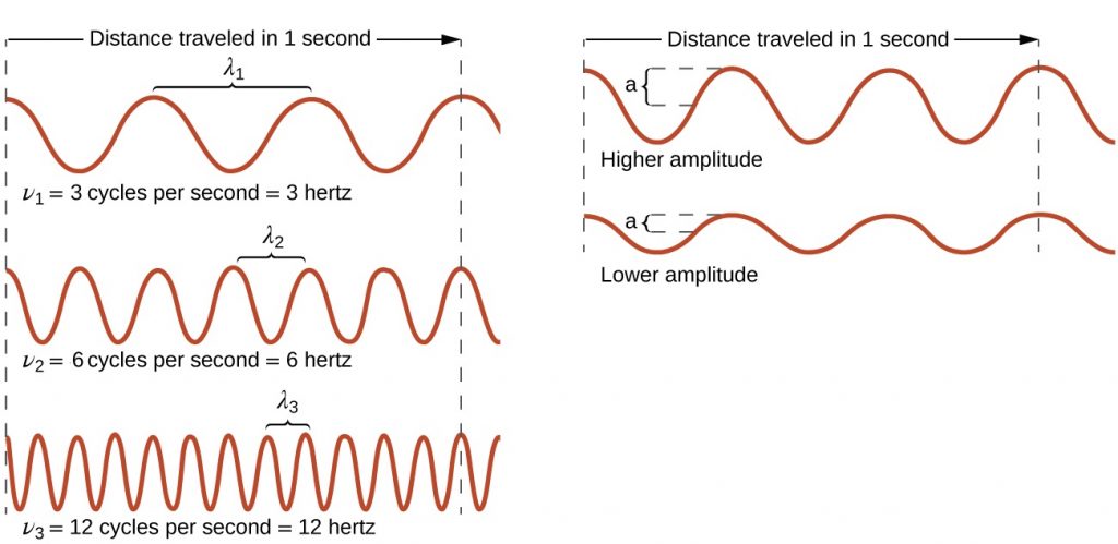 5 sinusoidal waves are illustrated and are stacked vertically in two columns; three waves in the first and the two in the second. Both columns read “Distance traveled in 1 second” at the top and define the width of the wave. In the first column, the wavelength and frequency for each of the three waves are given: From top to bottom, wave one is shown to be the largest wavelength and has the lowest frequency of three cycles per second ( Hertz ). Wavelength two is shown to have a wavelength half the size as the first, and a frequency twice that of the first at six cycles per second. The third wave has the shortest wavelength that is a quarter the size of the first and has a frequency that is four times that of the first wave at twelve cycles per second. The second column compares the amplitude of two waves with same wavelength and frequency. The top wave outlines the boundaries of its amplitude, denoted, “ a “, as the distance between the centerline and the peak of one wave. The top wave has the highest amplitude; whereas, the bottom waves is shown to have a lower amplitude since its “ a “ is smaller.