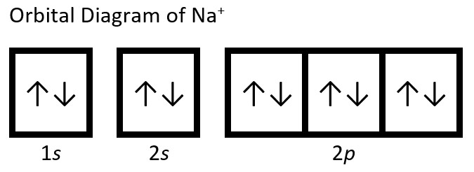 The orbital diagram of a sodium plus one ion (Na+) is shown. The 1s, 2s, and 2p shells are completely filled with two electrons having opposite spins (illustrated by one arrow pointing up, one arrow pointing down) in each orbital.