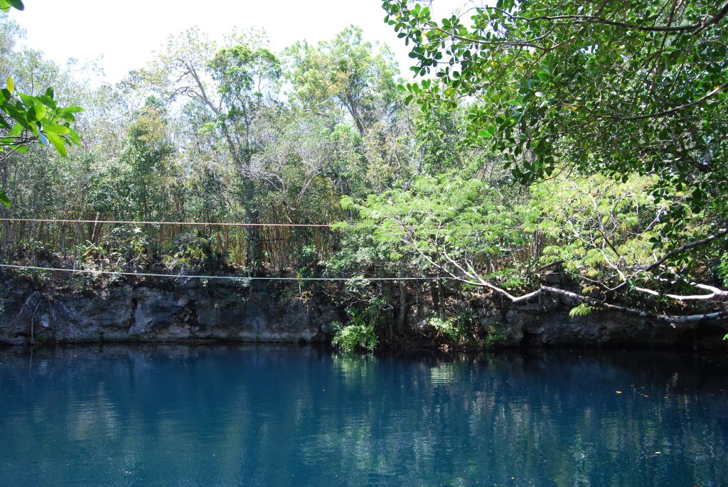 This is an image of a sinkhole, filled with water and is surrounded by rock forms, bushes and trees. 