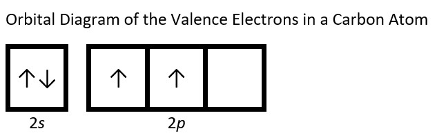 The orbital diagram of the valence electrons in a carbon atom is shown. There is a total of four valence electrons, two of which fill the 2s orbital and the other two begin to fill the 2p orbitals. An up arrow or down arrow is used to represent an electron. If two electrons share the same orbital, one arrow points up and the other down to show they have opposite spins.