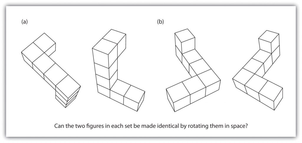 A shape seen from a variety of angles.