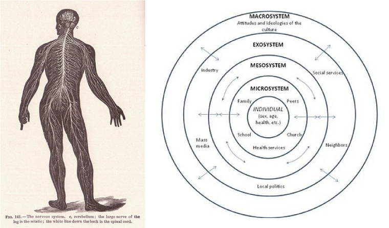 Systems surrounding an individual. Long description available.