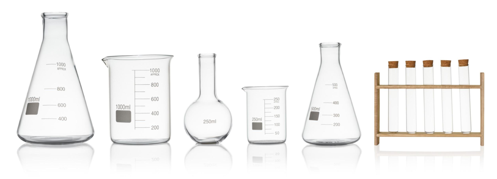 Additional Things to Keep in Mind The Science of Inclusion Making