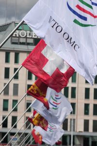 Image of flags are the World Trade Organization Public Forum