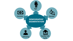Graphic that demonstrates the different demographics within demographic segmentation: age. gender, family life cycle, ethnicity, income