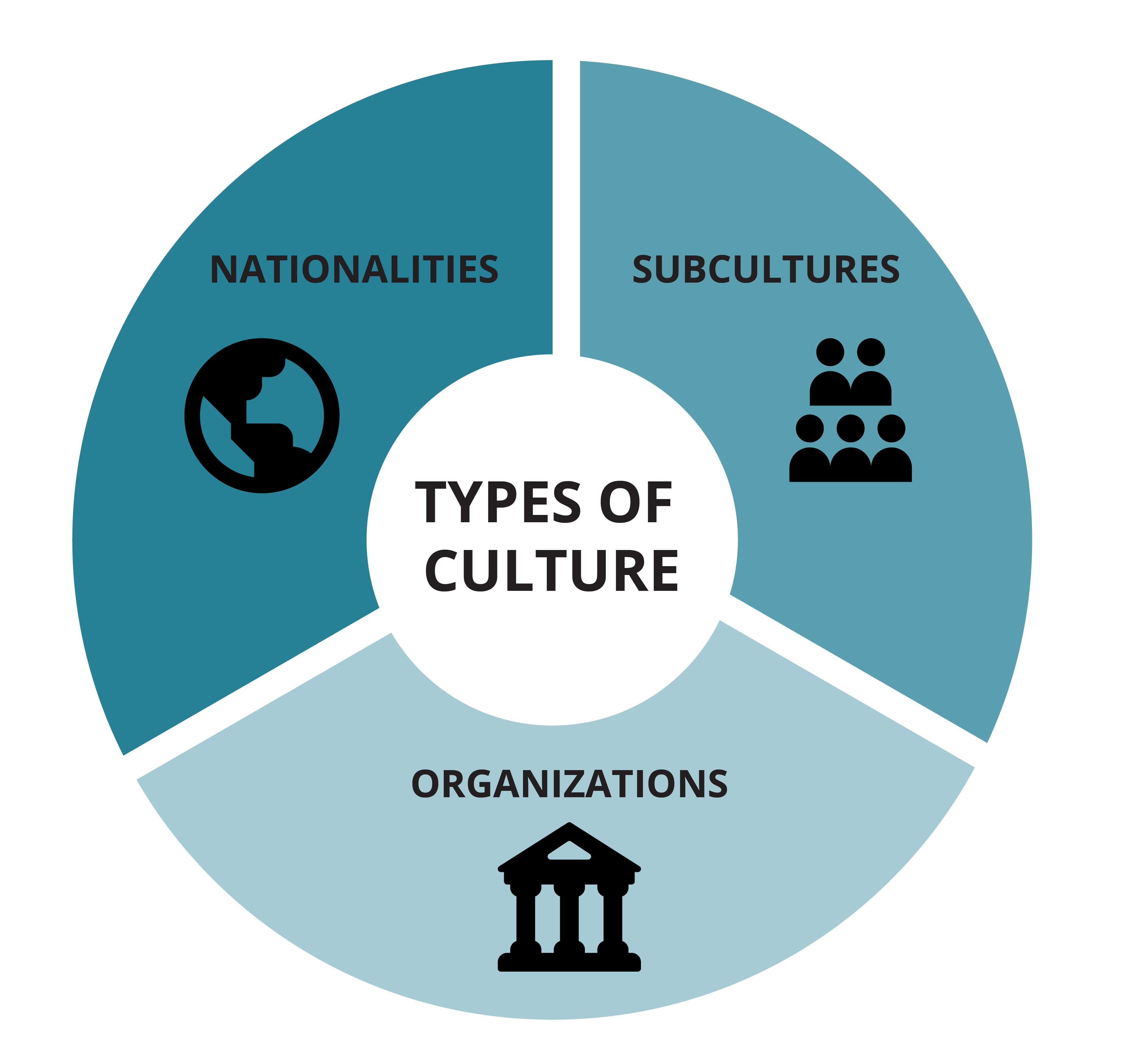 Types of Culture