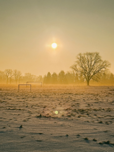 Sun shining on snow covered field